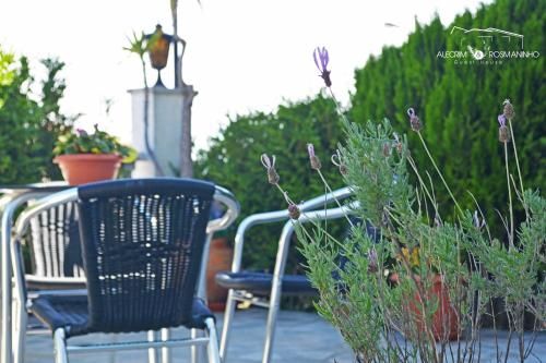 Outdoor Pictures 6