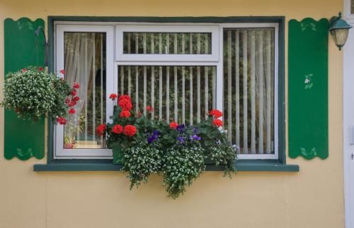 Outdoor Pictures 3