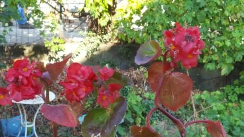 Outdoor Pictures 15
