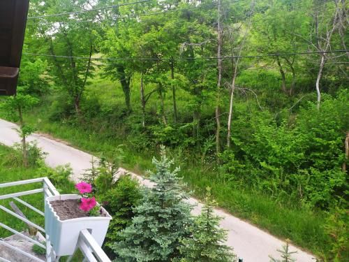 Outdoor Pictures 4