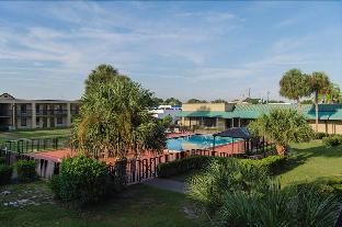 Winter Haven Gardens