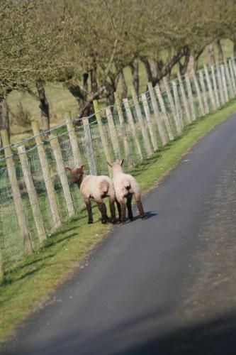 Ingon Bank Farm Bed And Breakfast