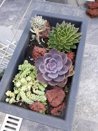 Outdoor Pictures 3