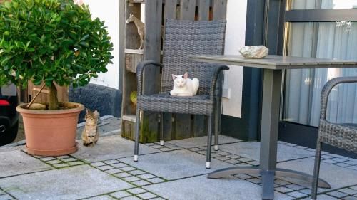 Outdoor Pictures 5
