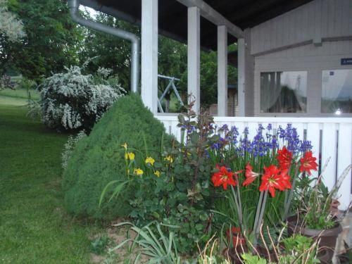 Outdoor Pictures 3