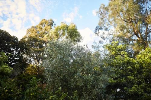 Outdoor Pictures 3