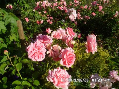 B&B Rozerie