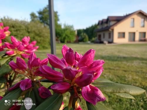 Outdoor Pictures 3