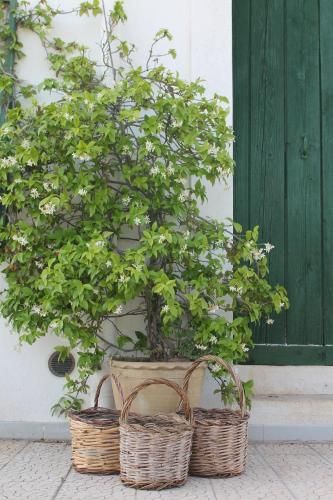 Outdoor Pictures 5