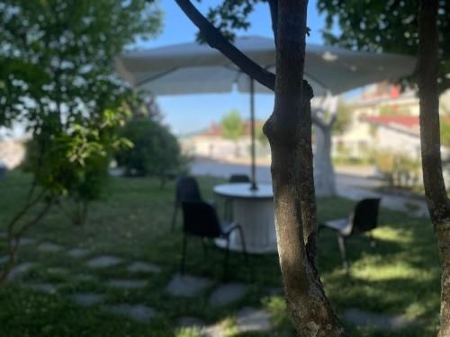 Outdoor Pictures 12