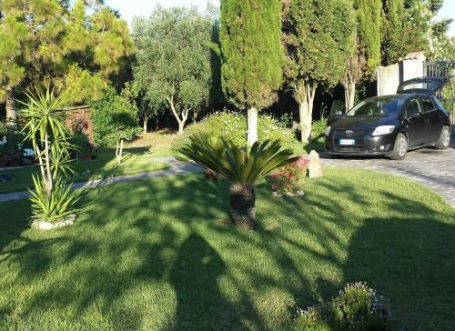 Outdoor Pictures 2