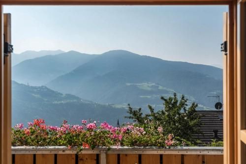 Outdoor Pictures 5