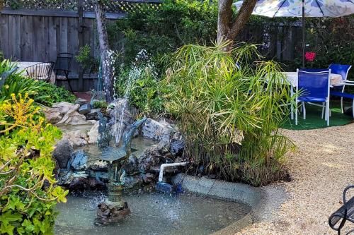 Outdoor Pictures 5