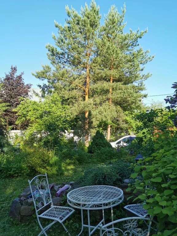 Outdoor Pictures 20