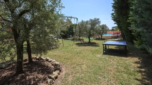 Outdoor Pictures 5