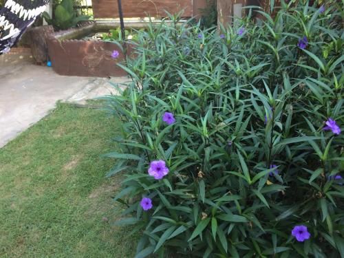 Outdoor Pictures 1