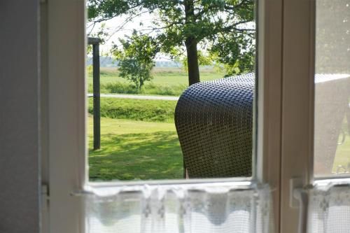 Outdoor Pictures 5