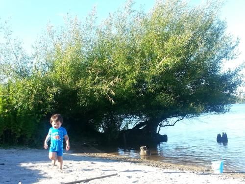 Koutu Beach Bed and Breakfast