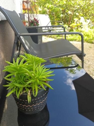 Outdoor Pictures 8