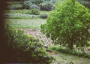 Outdoor Pictures 4
