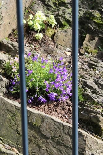 Outdoor Pictures 7