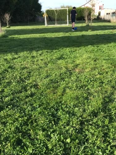 Outdoor Pictures 3