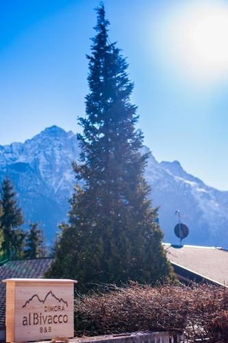 Outdoor Pictures 7