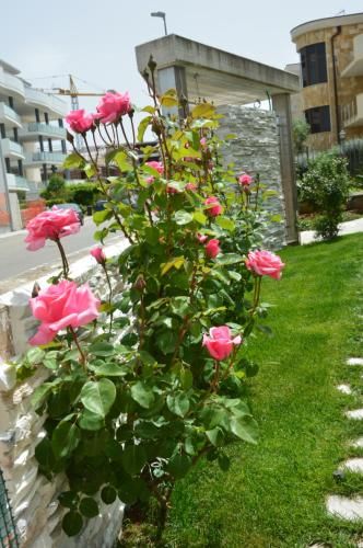 Outdoor Pictures 24