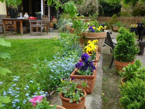 Apartement de vacances Alsace - Ferienwohnung Elsaß - Holiday apartment Alsace