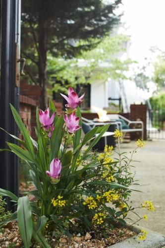 Outdoor Pictures 5