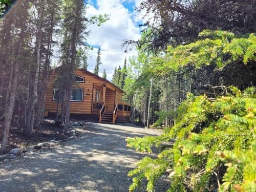 Denali Wild Stay - Moose Cabin, Free Wifi, 2 private bedrooms
