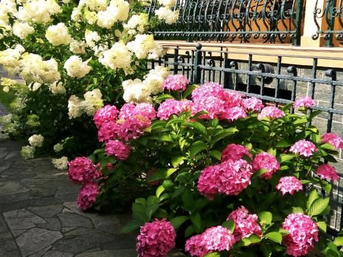 Outdoor Pictures 1