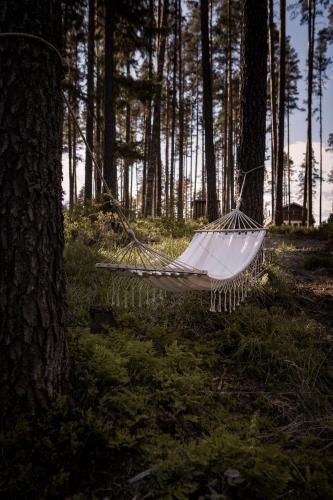 Outdoor Pictures 2