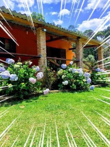 Sitio TiNito
