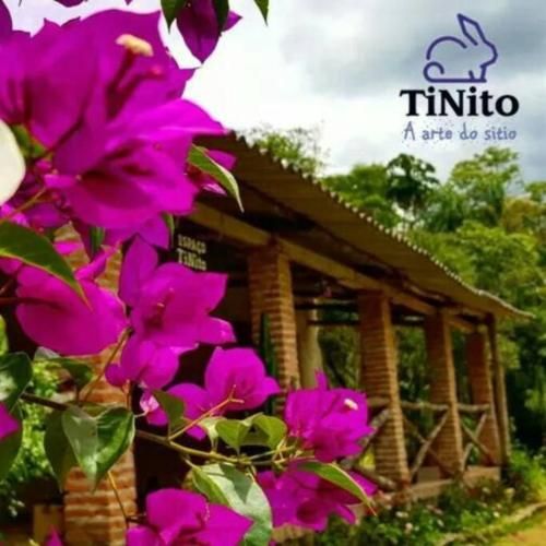 Sitio TiNito