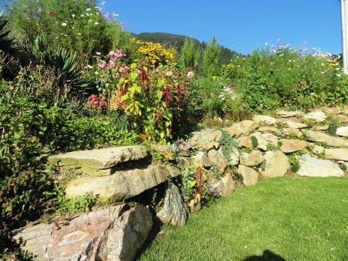Outdoor Pictures 23