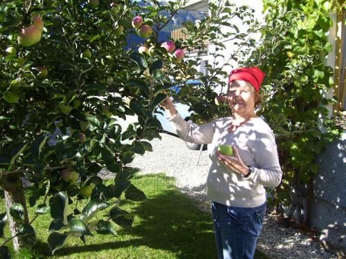 Outdoor Pictures 18