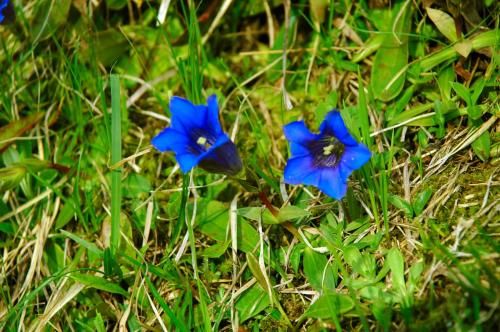 Outdoor Pictures 22