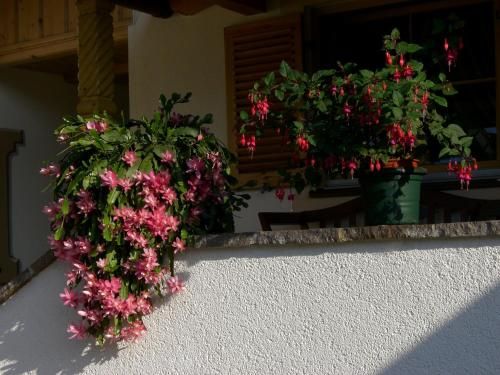 Outdoor Pictures 14