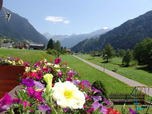 Outdoor Pictures 10
