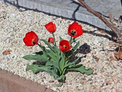 Outdoor Pictures 16
