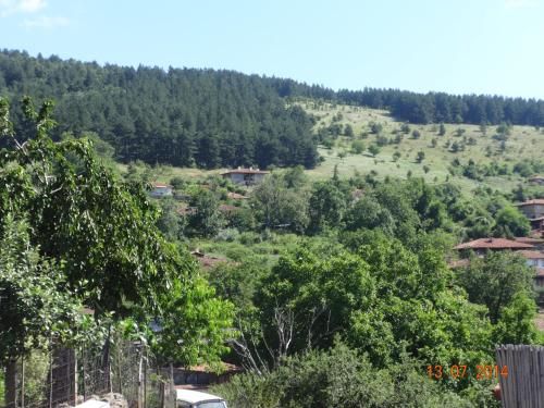 Guest House Zarkova Kushta