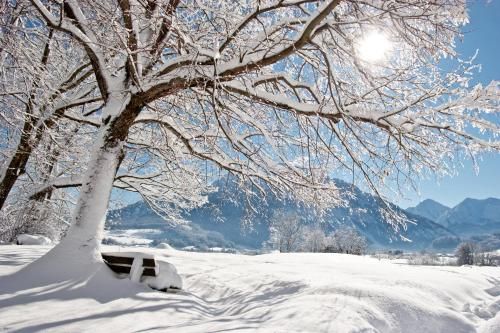 Outdoor Pictures 5