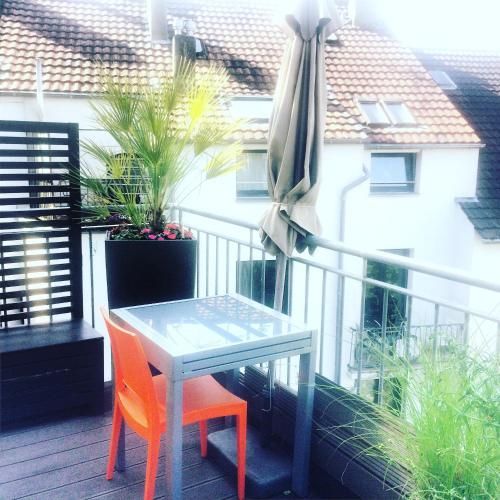 Outdoor Pictures 9