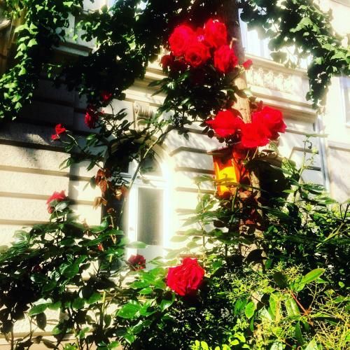Outdoor Pictures 19