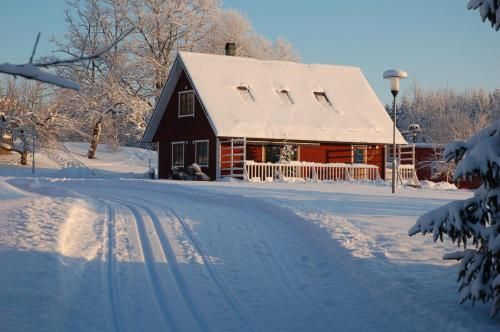 Outdoor Pictures 1