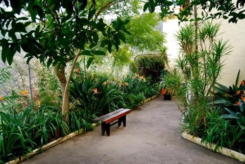 Outdoor Pictures 21