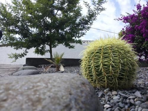 Outdoor Pictures 15