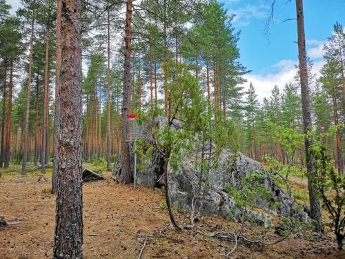Outdoor Pictures 20