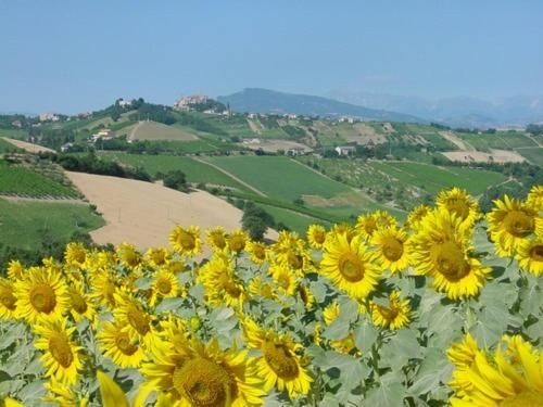 Outdoor Pictures 22
